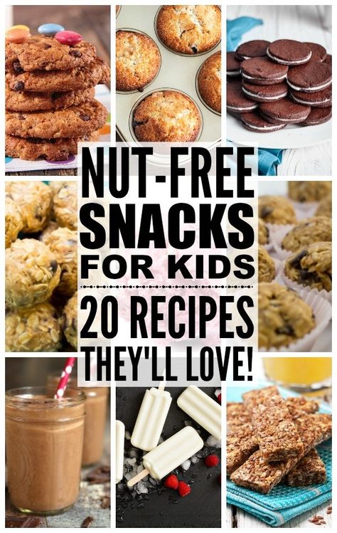 Nut Free Snacks For Kids: 20 Yummy Recipes They'll Love Healthy Nut Free Snacks, Nut Free Snacks For Kids, Peanut Free Snacks, Health Benefits Of Grapefruit, Nut Free Snacks, Cinnamon Health Benefits, Healthy Nuts, Nut Free Recipes, Snacks For Kids