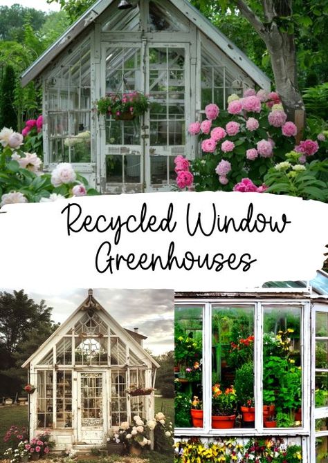 Dishfunctional Designs: Greenhouses Made With Old Recycled Windows Greenhouse Plans Old Windows, Old Window Greenhouse Diy, Antique Window Greenhouse, Greenhouse From Old Windows Diy, Diy Greenhouse With Old Windows, Greenhouse Old Windows, Old Window Greenhouse, Recycled Windows, Window Greenhouse