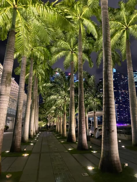 Singapura Aesthetic, Imvu Backgrounds Aesthetic, Singapore Lifestyle, Singapore Aesthetic, Singapore Street, Singapore Vacation, Night Street Photography, Singapore Trip, Singapore Photos