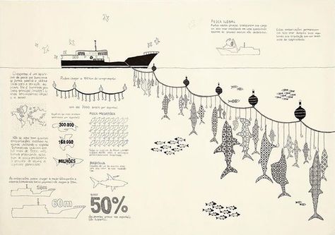 Shark Infographic, Ocean Diagram, Ocean Infographic, Fish Infographic, Beach Clean Up, Architecture Portfolio Design, Save Our Oceans, Marine Conservation, Ocean Conservation