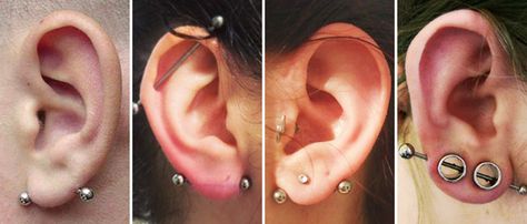 Transverse lobe Transverse Lobe Piercing, Transverse Lobe, Piercing Inspo, Body Modification, Lobe Piercing, Body Modifications, Piercing Jewelry, My Friend, Piercings