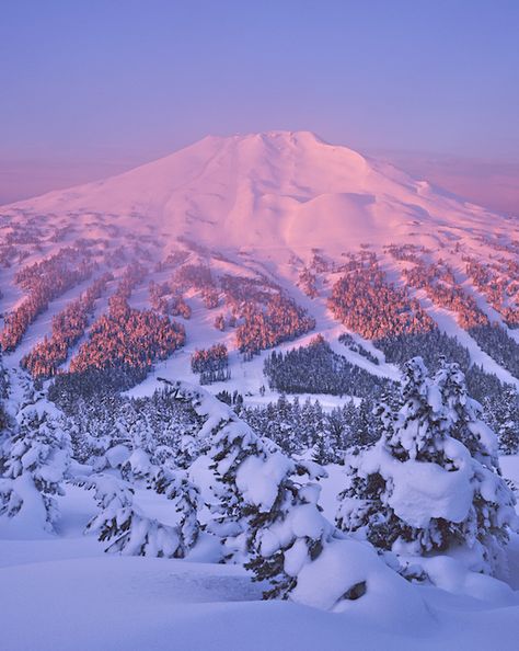 Photo/pic/image of  Bachelor in winter, Bend, Oregon Mount Bachelor Oregon, Mt Bachelor Oregon, Bend Oregon Winter, Oregon Winter, Oregon Mountains, Oregon Forest, Oregon Hikes, Painted Hills, The Oregon Trail