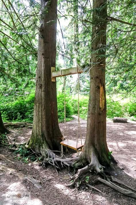 Swings In Forest, Swings Between Two Trees, Backyard Trails Pathways Woods, Forest Landscaping Ideas Woods, Backyard With A Lot Of Trees, Trail Ideas Backyard, Sitting Area In Woods, Gardens In The Woods, Outdoor Fort In The Woods Ideas