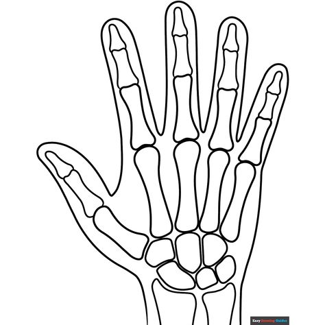 Free X-Ray Coloring Page for Kids X Ray Coloring Pages, Hand Xray Art, X Ray Printables Preschool, Free Printable Animal Xrays, X Ray Painting, X Ray Drawing Easy, X Ray Drawing, Hand Art Projects, Xray Art