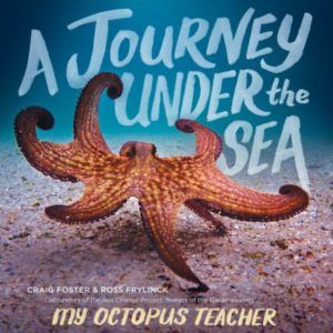 … A Journey Under the Sea Read More » My Octopus Teacher, Healing Power Of Nature, 5 Star Review, Netflix Documentaries, Beginning Readers, Teacher Books, Nature Science, Power Of Nature, Healing Power