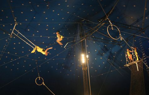 Circus Trapeze | circus, trapeze, released Circus Trapeze, Trapeze Circus, Coraline Aesthetic, Circus Aesthetic, Coraline Jones, Ty Lee, Night Circus, Sebastian Michaelis, The Greatest Showman