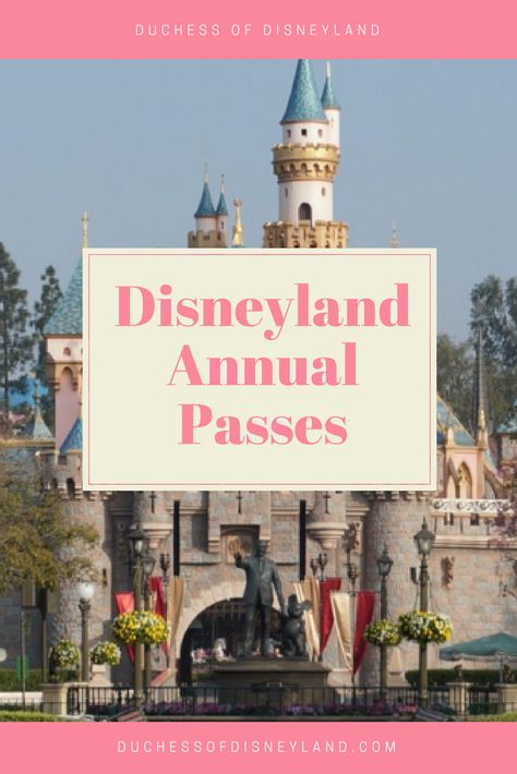 Disneyland Annual Passes Disneyland Height Requirements, Mickeys Halloween Party Costumes, Disneyland Vacation Planning, Vacation Prep, Surprise Vacation, Mickey Halloween Party, Disneyland Secrets, Disneyland Rides, Disney World Food