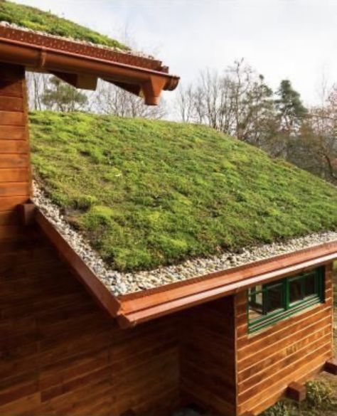 Green Shed Roof, Green Roof Residential, Eco Roof, Roof Plants, Grass Roof, Roofing Options, Eco Buildings, Living Roofs, Roofing Diy