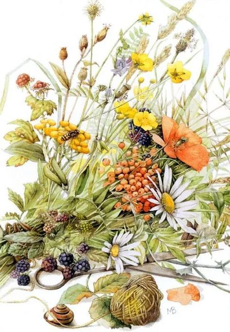 Marjolein Bastin, Nature Artists, Dutch Artists, Bastille, Arte Floral, Art Watercolor, Tim Burton, Botanical Illustration, Botanical Art