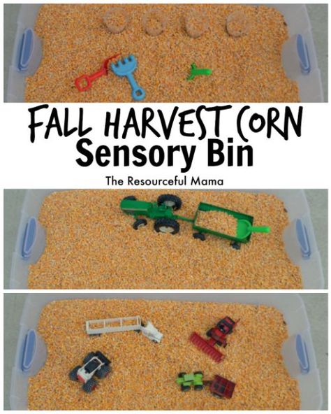 We of the best things about fall is harvest and playing in the corn! This corn sensory bin is so easy to make and will provide hours of fun! Corn Sensory Bin, Fall Festival Activities, Harvest Activities, School Fall Festival, Fall Festival Games, Harvest Corn, Tactile Sensory, Fall Harvest Party, Fall Carnival