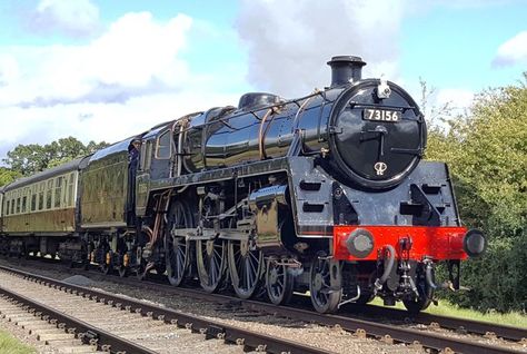 Lion Roar, Heritage Railway, St Pancras, Chelsea Football Club, Steam Engines, Great Western, Chelsea Football, Central Station, Steam Engine