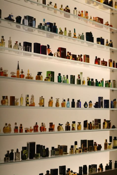 The mini-perfume bottle display at Osswald Parfumerie     Photo by Rocky Li Cologne Storage, How To Organize Perfumes On Dresser, Shelf Solutions, Perfume Collection Display, Fragrance Display, Profumo Victoria Secret, Koleksi Parfum, Perfume Organizer, Fragrance Store