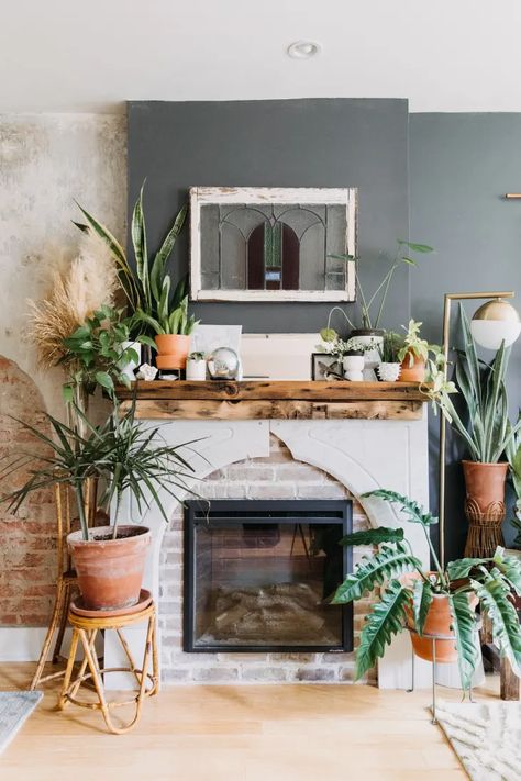 South Philadelphia Home Tour Photos | Apartment Therapy Apartment Composting, Plants Apartment, Valspar Colors, Kitchen Container, Urban Outfitters Home, South Philly, Fireplace Facade, Plant Parent, Planting Ideas