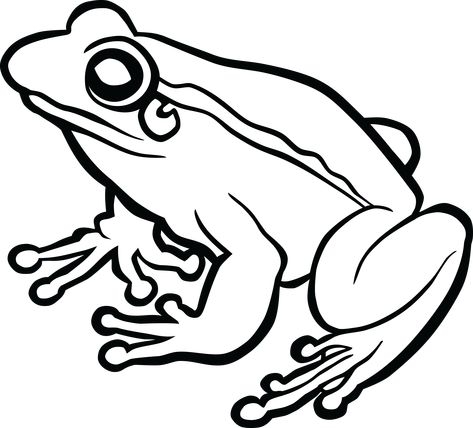 Pottery Etching, Frog Outline, Transparent Drawing, Cartoon Black And White, Frog Png, Frog Clipart, Clip Art Black And White, Frog Cartoon, Drawing Tree