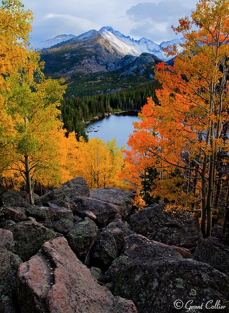 Rocky Mountain National Park, Bear Lake, Longs Peak Colorado Attractions, Longs Peak, Mesa Verde National Park, Black Dagger Brotherhood, Mountain Lakes, Last Ride, Aspen Trees, Colorado Travel, Bear Lake