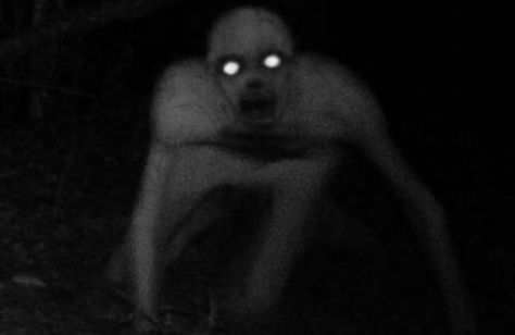 Creature in the woods Unexplained Mysteries, Humanoid Creatures, Slenderman, Urban Legends, Weird Creatures, San Andreas, Radiohead, American Horror, Horror Stories