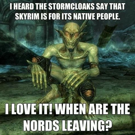 Elder Scrolls Funny, Snow Elves, Elder Scrolls Memes, Skyrim Game, Skyrim Funny, Snow Elf, Elder Scrolls Games, Game Life, Elder Scrolls Art