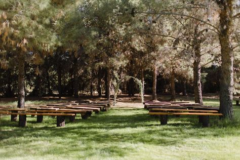 Schnepf Farms Wedding, Schnepf Farms, Pine Tree Wedding, Forest Ceremony, Tree Wedding Ceremony, Farm Resort, Farm Weddings, Spruce Tree, Forest Garden