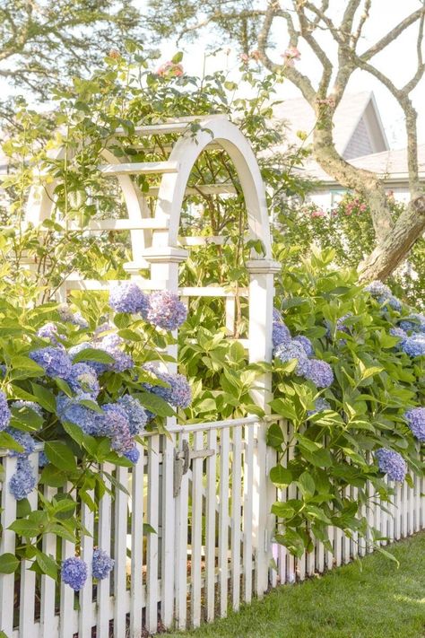 Shingle Exterior, Cape House, Garden Idea, Party Garden, White Picket Fence, Picket Fence, English Countryside, Garden Gates, Garden Outdoor