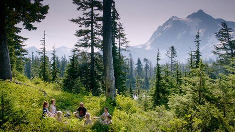 "We're defined by our actions, not our words" Captain Fantastic Matt Ross, Captain Fantastic, Travel Movies, Viggo Mortensen, Film Studies, Power To The People, Art Films, Love Movie, Film Serie