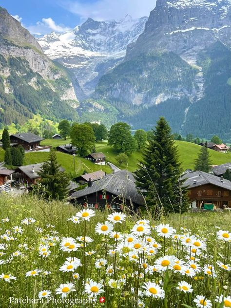 Grindelwald, Switzerland Switzerland Village, Switzerland Grindelwald, Switzerland Wallpaper, Glowworm Caves, Switzerland Nature, Grindelwald Switzerland, Switzerland Mountains, Switzerland Photography, Beautiful Landscape Photography