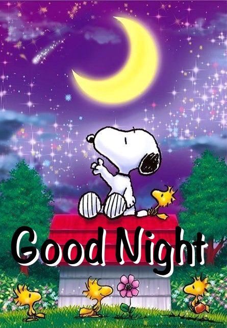 Snoopy Good Night snoopy good night pictures good night images snoopy good night quotes Good Night Snoopy, Funny Christmas Images, Goodnight Snoopy, Funny Christmas Cartoons, Good Night Funny, Snoopy Funny, Charlie Brown Snoopy, Happy Sunday Quotes, Snoopy Images