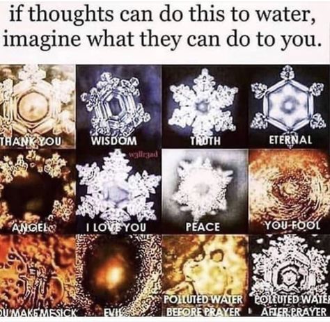 Masaru Emoto, Awakening Soul, Metaphysical Spirituality, Water Molecule, Spirit Science, Ancient Knowledge, Science Facts, Spiritual Wisdom, Spirituality Energy