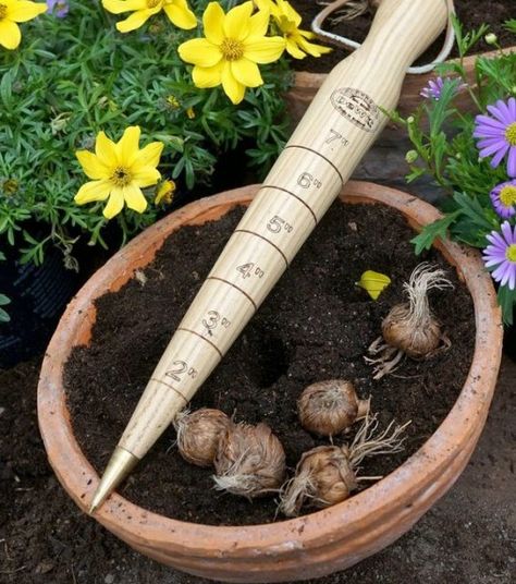 DeWit Wooden Dibber - Wilco Farm Stores Greenhouse Organization, Farm Store Ideas, Future Garden, Homestead Gardens, Farm Store, Garden Help, Garden Greenhouse, Food Garden, Planting Bulbs