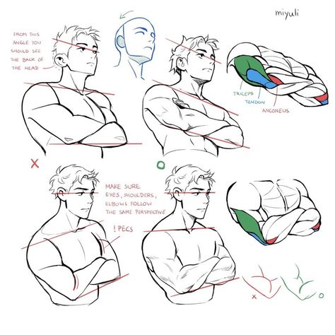 Anatomy Tutorial, Body Drawing Tutorial, Human Anatomy Art, Anatomy Sketches, Different Poses, Body Reference Drawing, Poses References, Figure Drawing Reference, Anatomy Reference