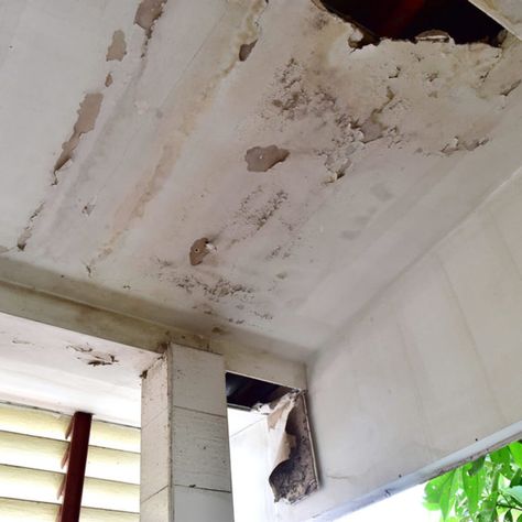 Water Damaged Ceiling, Repair Ceilings, Ceiling Leak, Southern Aesthetic, Roof Problems, Plaster Repair, Water Damage Repair, Plaster Ceiling, Fire Water