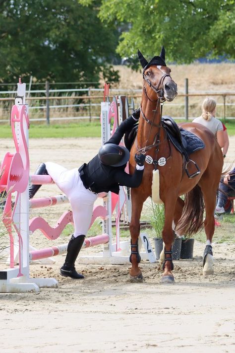 Horse Falls, Horse Fails, Autumn Horse, Chestnut Horses, People Falling, Horse Standing, English Horse, Horse Boarding, Horse Aesthetic