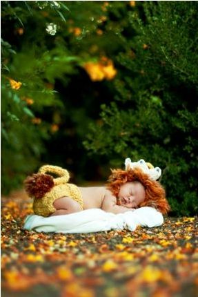 Love this... so cute :) Baby Boy Newborn Pictures, Newborn Photos Boy, Lion King Baby, Lion Photography, Monthly Baby Photos, Newborn Pics, Monthly Baby, Baby Shoot, Baby Props