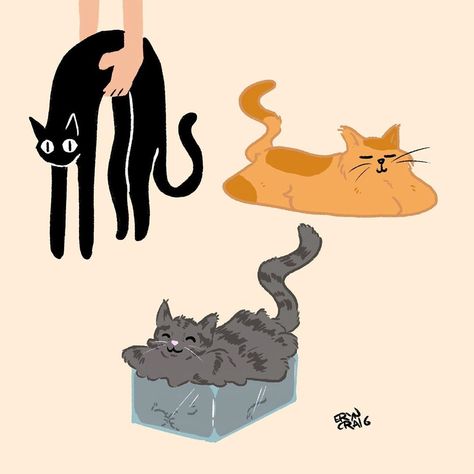 Cat Being Picked Up Drawing, Liquid Cat Drawing, Cat Studying, Cat Liquid, Cats Are Liquid, Cat Reaching, Liquid Cat, Silly Photos, Silly Things