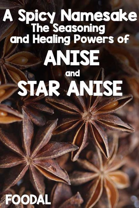 Anise and star anise: one name that unites two different spices. Find out about the medicinal benefits of common anise and its essential oil, and the intriguing look of exotic star anise. And get some inspiration when it comes to cooking with these very similar aromatic spices. Star Of Anise Benefits Of, Aniseed Benefits, Anise Benefits, Star Anise Benefits, Star Of Anise, Anise Candy, Herbal Grimoire, Kid Friendly Meals Dinner, Bbq Short Ribs