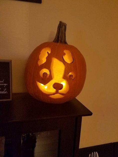 Boston Terrier Pumpkin, Boston Terrier Halloween, Pumpkin Carving Games, Brindle Boston Terrier, Dog Station, Red Boston Terriers, Boston Terrier Funny, Dog Pumpkin, Pumpkin Carving Ideas