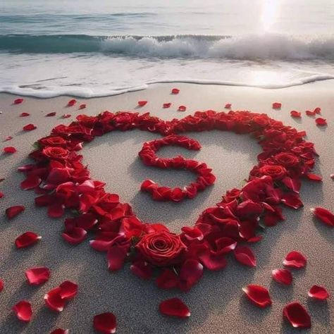 S Love Dp, S Name Dp Love, S Name Dp, S Name Wallpaper Love Black, Dp Love, Love Dp, Cute Wallpapers For Android, Classy Wallpaper, S Letter Images