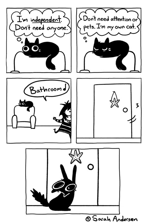 Oq???????? Sarah Anderson Comics, Sarah's Scribbles, Sarah Andersen, Funny Comic Strips, Cat Comics, Grumpy Cat, Cute Comics, Comic Strip, Cat Mom