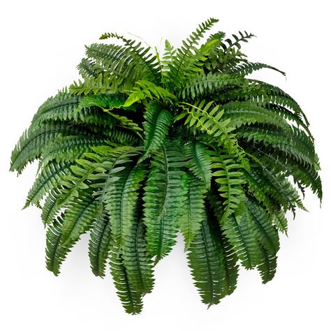 Artificial plants decor