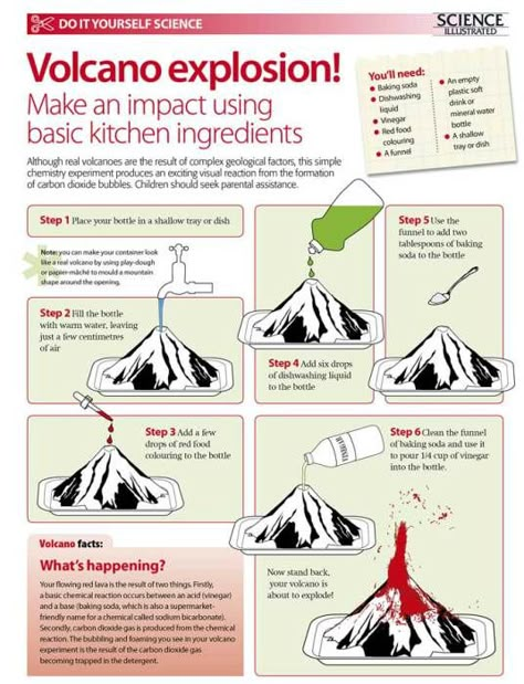 Volcano Explosion, Vetenskapliga Experiment, Volcano Projects, Making A Volcano, Volcano Experiment, Chemistry Experiments, Kid Experiments, Fair Projects, Educational Activities For Kids