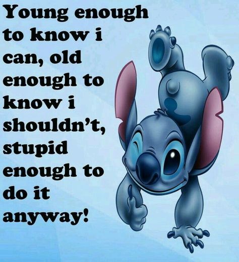 Stitch Jokes, Lilo And Stitch Memes, Funny Stitch, Lilo And Stitch Movie, Stitch Quotes, Lilo And Stitch Quotes, Disney Quotes Funny, Stitch Quote, Funny Disney Memes