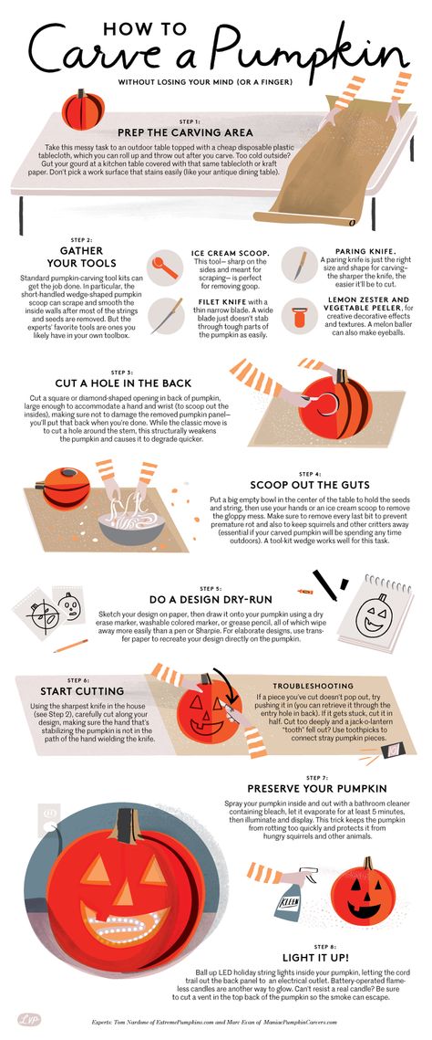 This step-by-step guide offers expert tips and tricks for how to carve a pumpkin like an expert. You're guaranteed to be a carving pro. How To Crave A Pumpkin, Best Way To Carve A Pumpkin, Pumpkin Carving How To, Pumpkin Carving Tips And Tricks, How To Carve A Pumpkin Easy, How To Carve A Pumpkin, Decorate Pumpkins, Pumpkin Carving Tips, Carve A Pumpkin