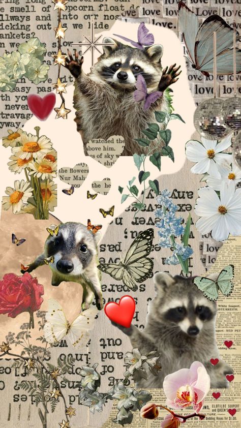 Raccoon Art Wallpaper, Raccoon Lockscreen, Animal Collage Wallpaper, Raccoon Collage, Raccoon Wallpaper Iphone, Racoon Wallpaper, Animal Phone Wallpaper, Raccoon Wallpaper, Wallpaper Horizontal