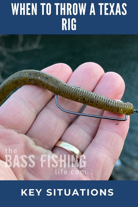 There is probably no better bass fishing setup than a Texas rig. These are key situations where this presentation will shine. #bassfishing #fishing #largemouthbass #bassfishingtips Best Bait For Bass Fishing, Texas Rig Fishing, Bass Rigs Setup, Texas Rig Bass Fishing, Catfish Rig Setup, Best Bass Fishing Lures, Catfish Rigs, Kayak Fishing Diy, Largemouth Bass Fishing