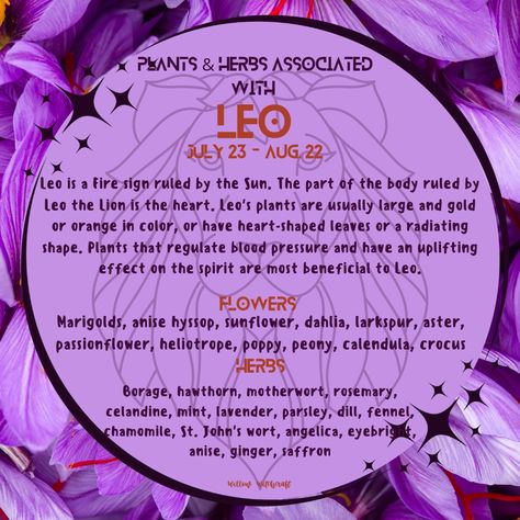 Herbs Of Leo, Herbs For Leo, Leo Herbs, Zodiac Herbs, Leo Witch, Plant Magick, Witchy Astrology, Witch Astrology, Moonlit Path