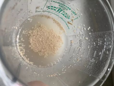 If you like organic fertilizers to make your plants even happier, check out this easy fertilizer based on yeast. Yeasts are single-celled fungi, they are everywhere in nature and can perform many ecological functions, like breaking down dead plant tissue and encouraging root growth.Yeast fertilizer can be used for indoor plants, outdoor plants and can be your best friend to grow your tomatoes this summer.Today, I will talk about how to use the yeast fertilizer for indoor plants and I w… Yeast Fertilizer, Fertilizer For Indoor Plants, Organic Fertilizers, Anthropologie Candle, Composting Process, Plant Tissue, Printed Candles, Natural Fertilizer, Fertilizer For Plants