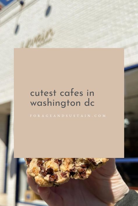 Find everything from delicious cupcakes and iconic cookies to elegant comfort food and vegetarian tacos in Washington DC. These are some of the cutest and best cafes in Washington DC. #washingtondccityguide #washingtondcguide #cutestcafeswashingtondc #cafeswashingtondc Cafes In Washington Dc, Washington Dc Cafe, Cutest Cafes, Georgetown Cupcakes, Levain Bakery, Cute Coffee Shop, Dupont Circle, Delicious Cupcakes, Vegetarian Tacos