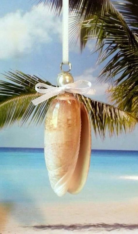 Oyster Angel, Shells Crafts, Olive Shell, Seaside Christmas, Christmas Ornament Ideas, Shell Projects, Seashell Ornament, Beach Tree, Seashell Christmas Ornaments