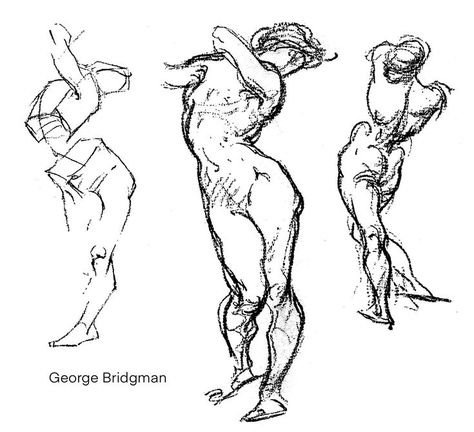 George Bridgman, Cottagecore Wallpaper, Drawing Practice, Illustration Character Design, Art Tips, Drawing Tips, Pose Reference, Art Sketches, Character Design