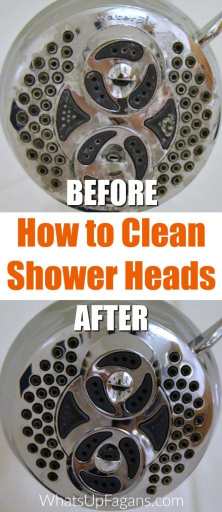 How to clean shower head in your bathroom with a vinegar soak | cleaning tip hack tutorial | DIY natural green cleaning Putz Hacks, Homemade Toilet Cleaner, Clean Hacks, Clean Baking Pans, Clean Shower, Hardwood Floor Cleaner, Cleaning Painted Walls, Thrifty Thursday, Glass Cooktop