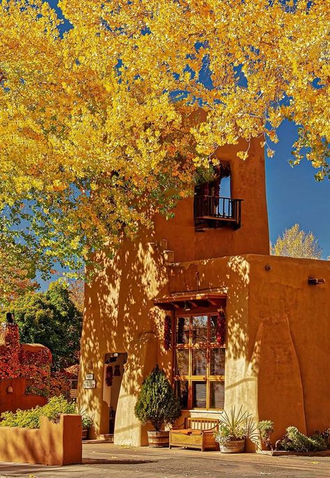 Southwest Patio, Santa Fe Style Decor, Live Work Studio, Mexico Homes, Villa Architecture, Spanish Homes, New Mexico Homes, Painting Garden, Desert Aesthetic